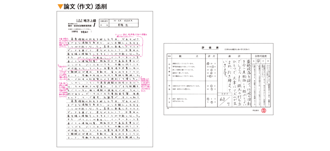 論文(作文)添削